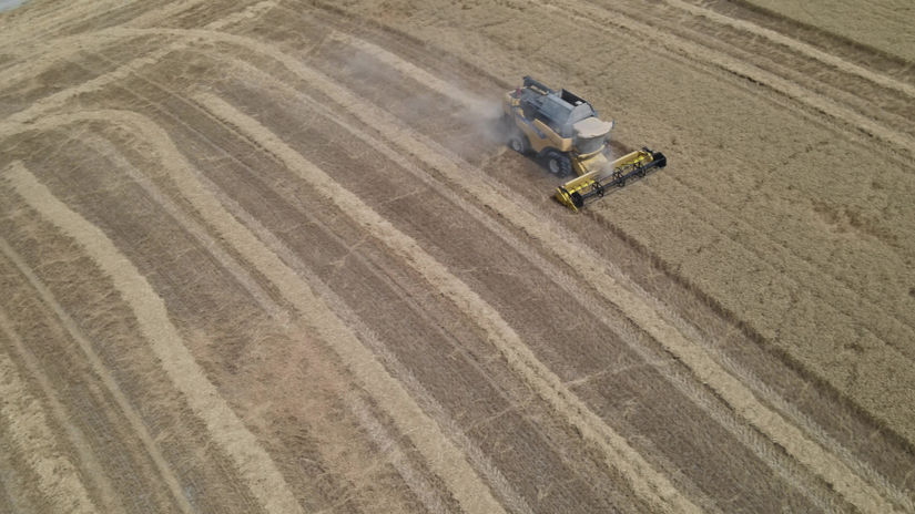 DJI_0763